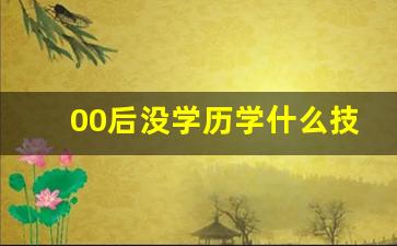 00后没学历学什么技术好,00后没学历的出路