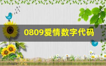 0809爱情数字代码,恋爱密码2113意思