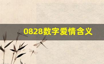 0828数字爱情含义,0830的爱情暗示语