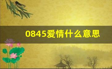 0845爱情什么意思