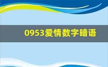 0953爱情数字暗语,男人发1314的心理