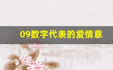 09数字代表的爱情意思