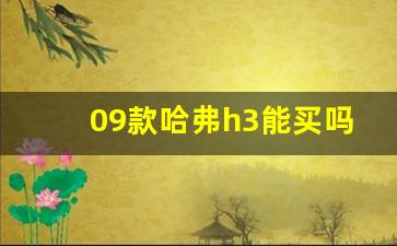 09款哈弗h3能买吗,哈弗h3柴油版2.5t