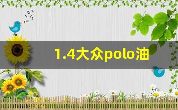 1.4大众polo油耗怎么样,2万多的二手polo