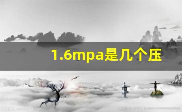 1.6mpa是几个压力,1.6mpa是什么意思呀