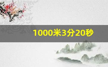 1000米3分20秒什么水平,50米几秒算国家2级