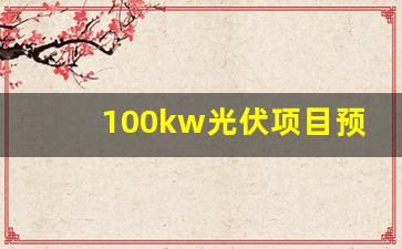 100kw光伏项目预算