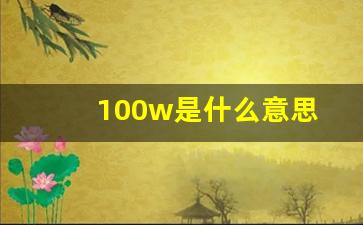 100w是什么意思