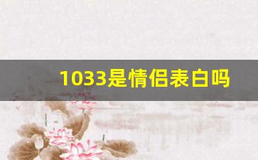 1033是情侣表白吗,1033暗示什么含义