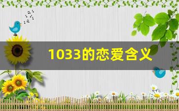 1033的恋爱含义