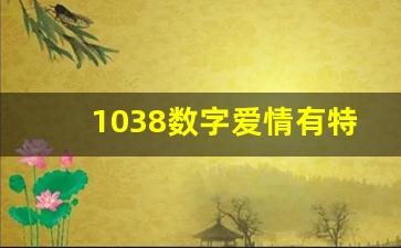 1038数字爱情有特殊意思吗,男生发1200的寓意与象征