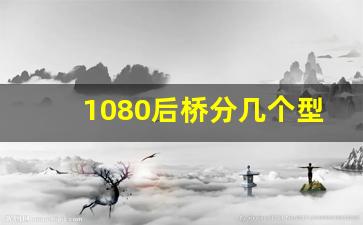 1080后桥分几个型号,1080后桥壳尺寸图片