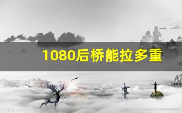 1080后桥能拉多重,8吨后桥图片