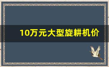 10万元大型旋耕机价格图片