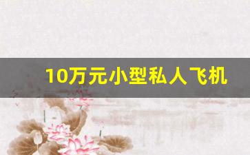 10万元小型私人飞机,5万元的小飞机