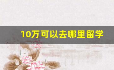 10万可以去哪里留学,法国高中留学费用一年多少人民币