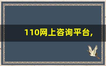 110网上咨询平台,网警24小时人工服务