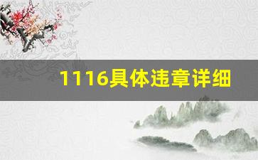 1116具体违章详细图片,违反禁令1116是限行吗