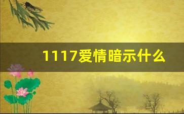 1117爱情暗示什么意思