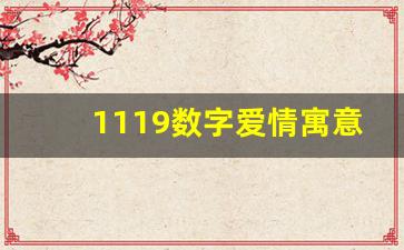 1119数字爱情寓意,1207爱情寓意