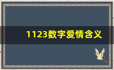 1123数字爱情含义