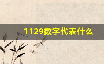 1129数字代表什么,数字13一般人不能用