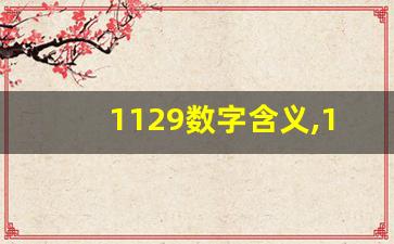 1129数字含义,1119数字深意