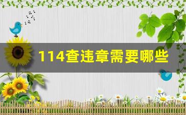 114查违章需要哪些信息