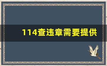 114查违章需要提供什么,查违章非本人车辆