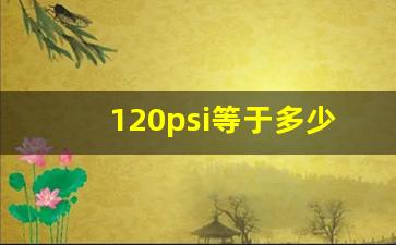 120psi等于多少bar,压力表0.4是多少公斤