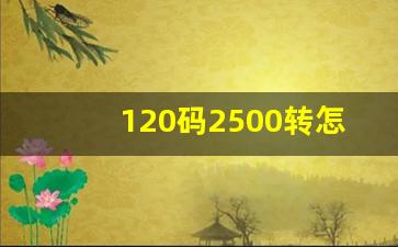 120码2500转怎么样