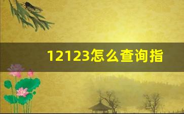 12123怎么查询指标更新,北京市小客车指标打印流程