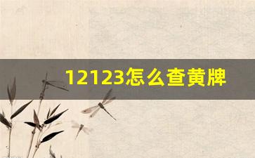 12123怎么查黄牌违章,交管12123怎么查大型货车