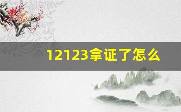 12123拿证了怎么看成绩,四科全部考完哪里查成绩