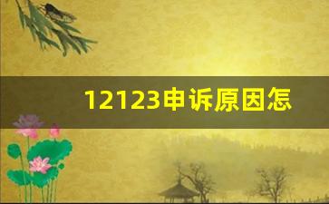 12123申诉原因怎么写,礼让行人复议理由怎么写