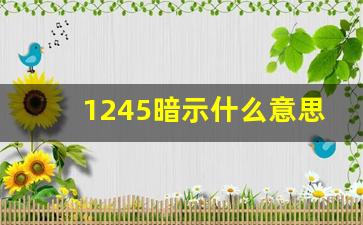 1245暗示什么意思,502代表爱情啥意思