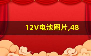 12V电池图片,48v12ah和48v20ah区别