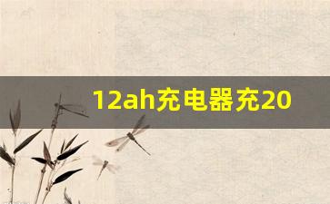 12ah充电器充20a电瓶损害,48伏20安锂电池配多大充电器