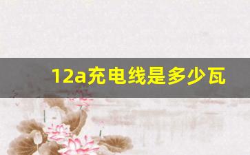 12a充电线是多少瓦,48v12A充电器的参数表