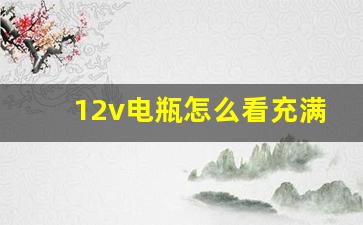 12v电瓶怎么看充满电了,12v24v充电机电流调节