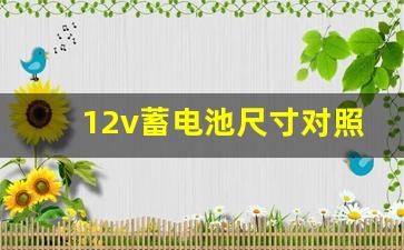 12v蓄电池尺寸对照表,风帆蓄电池尺寸大全