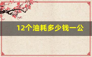 12个油耗多少钱一公里