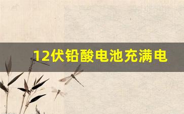 12伏铅酸电池充满电是多少伏,12v铅酸电池放完电电压多少