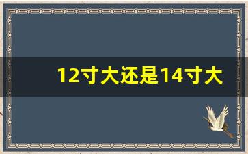 12寸大还是14寸大,12寸和14寸差多少厘米