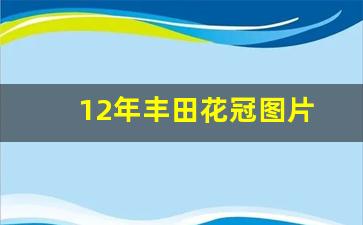 12年丰田花冠图片