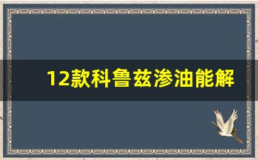 12款科鲁兹渗油能解决吗,科鲁兹一般渗油位置