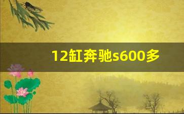 12缸奔驰s600多少钱一辆,12缸的奔驰s600是多大排量