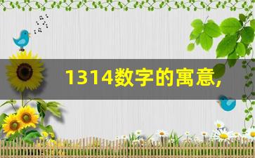 1314数字的寓意,有寓意的数字组合