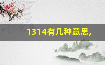 1314有几种意思,1314的爱情暗示语