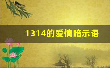 1314的爱情暗示语,1314有几种意思